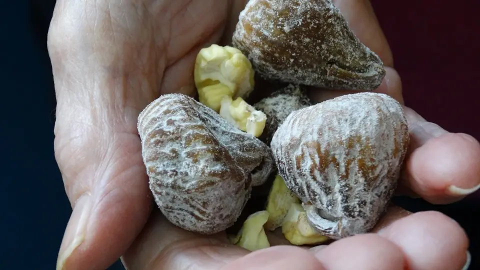 ALMENDRALEJO celebra La Chiquit&iacute;a 2018 (3)