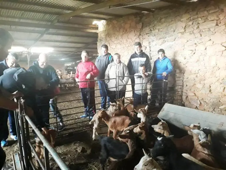 Usuarios conocen a las cabras bombero 04019 (1)