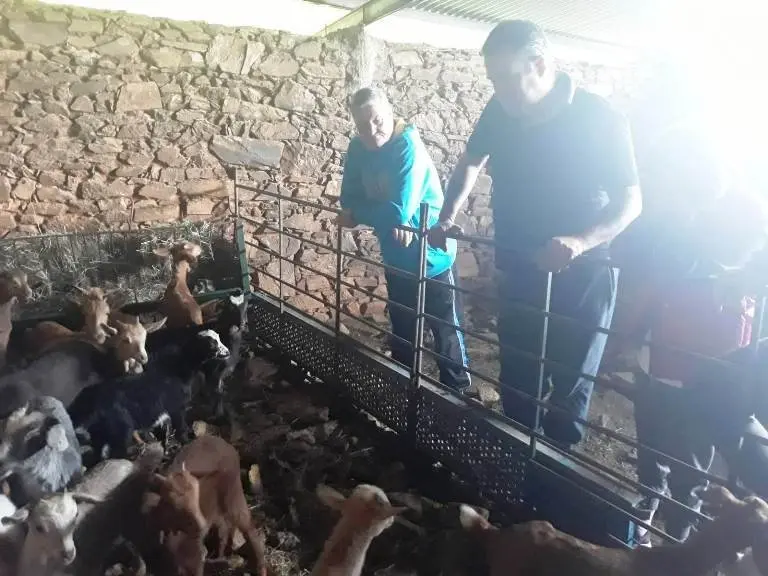 Usuarios conocen a las cabras bombero 04019 (11)