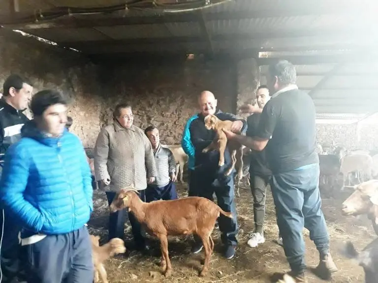 Usuarios conocen a las cabras bombero 04019 (18)