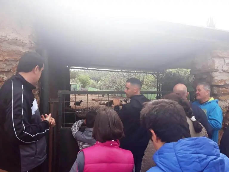 Usuarios conocen a las cabras bombero 04019 (28)