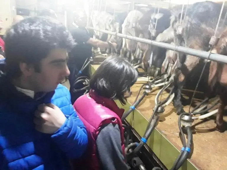 Usuarios conocen a las cabras bombero 04019 (30)