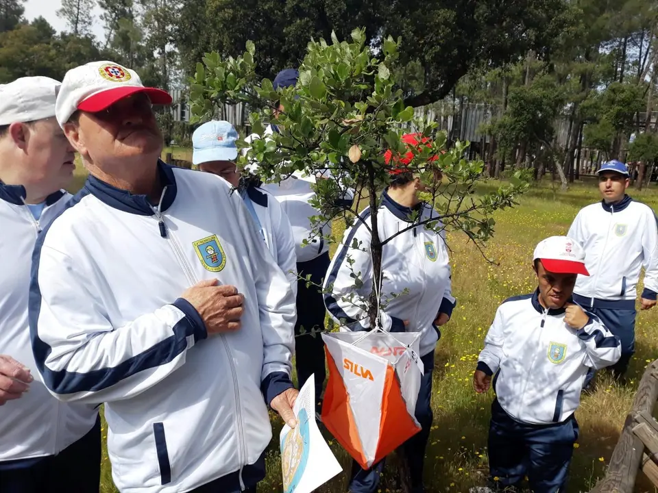 COM Jedes en El Anillo 04019 (73)