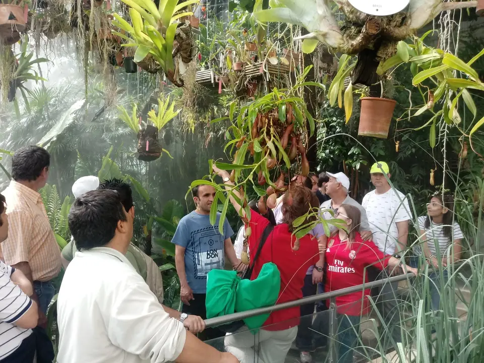 COM Visita al Real Jardin Botanico de Madrid 05019 (2)