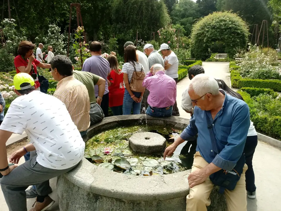 COM Visita al Real Jardin Botanico de Madrid 05019 (5)