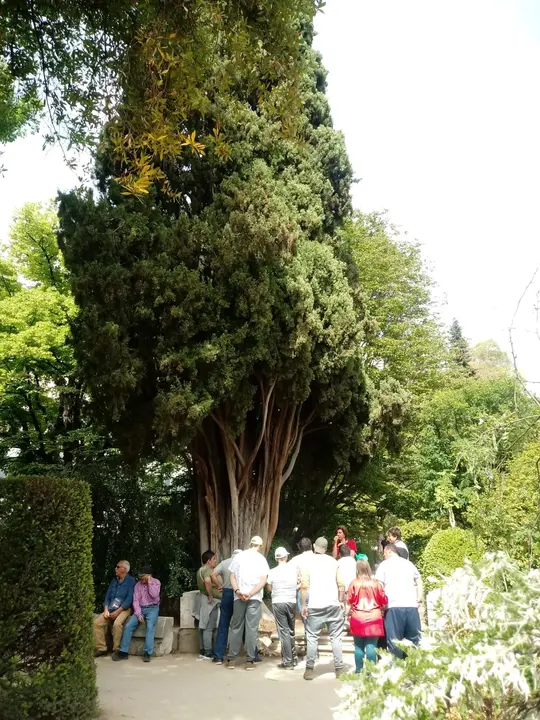 COM Visita al Real Jardin Botanico de Madrid 05019 (6)
