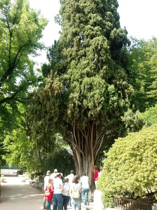 COM Visita al Real Jardin Botanico de Madrid 05019 (8)
