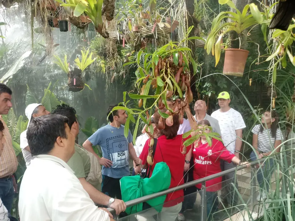COM Visita al Real Jardin Botanico de Madrid 05019 (9)