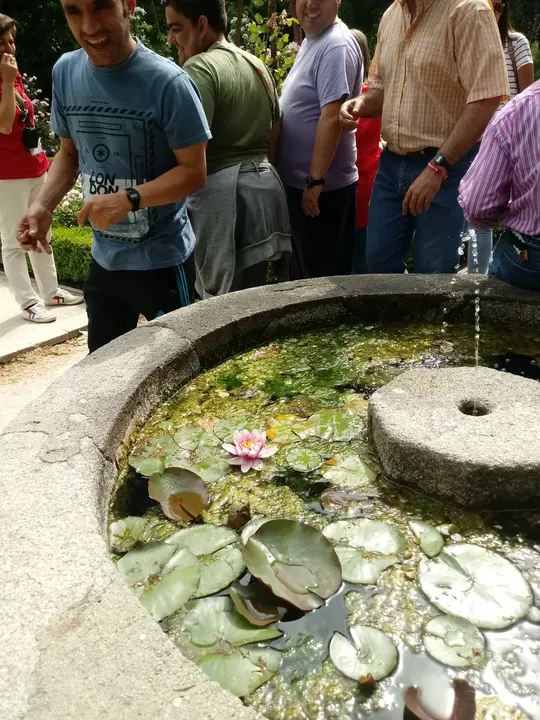 COM Visita al Real Jardin Botanico de Madrid 05019 (10)