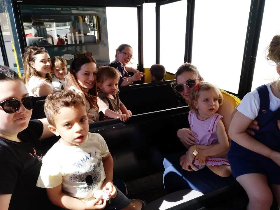 Viaje en tren por la ciudad de Merida (11)