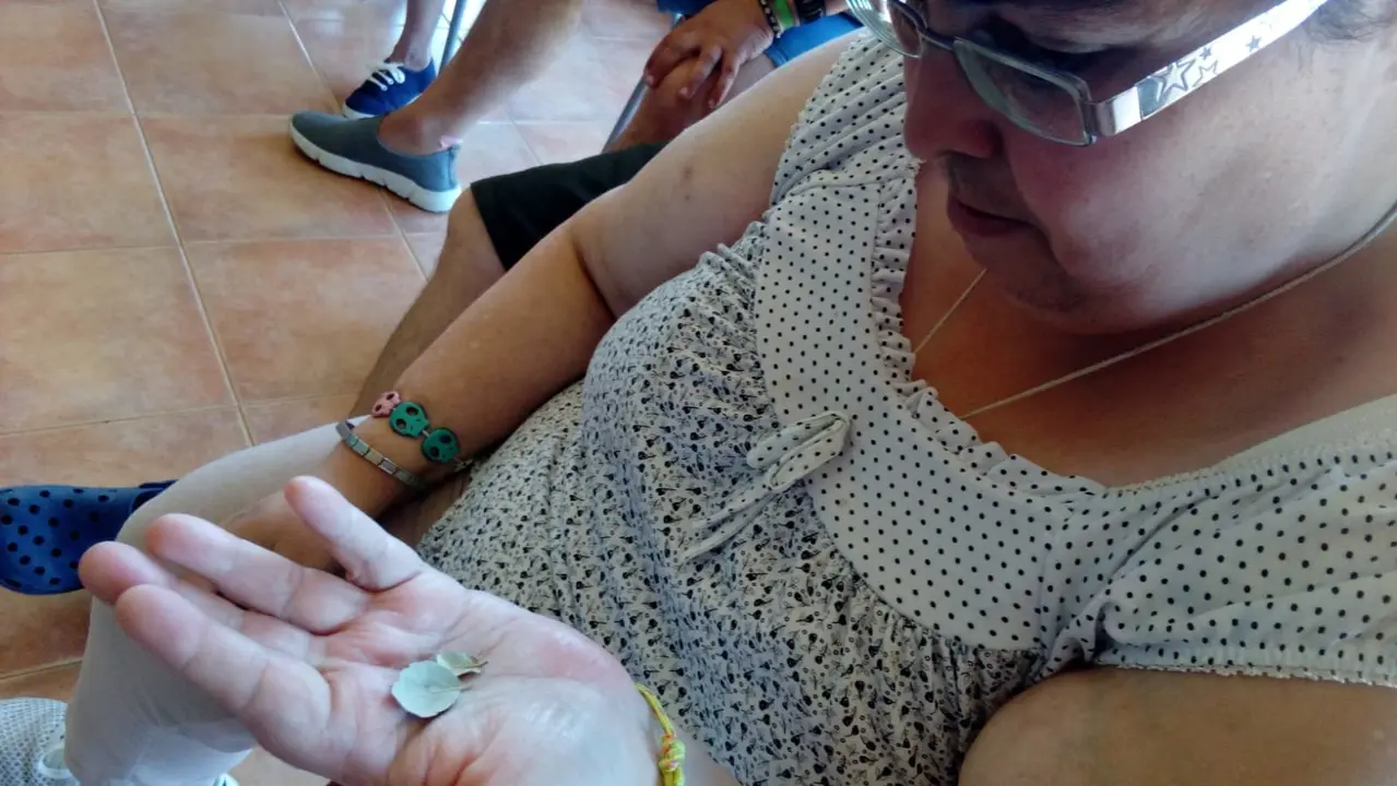 COM Taller de aromaterapia en Romangordo 07019 (5)
