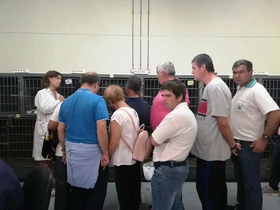 usuarios del com visitan fac veterin 0901903