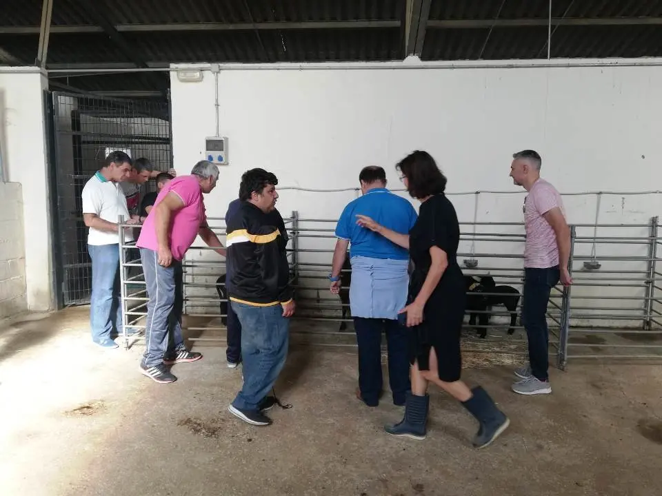 usuarios del com visitan fac veterin 0901907