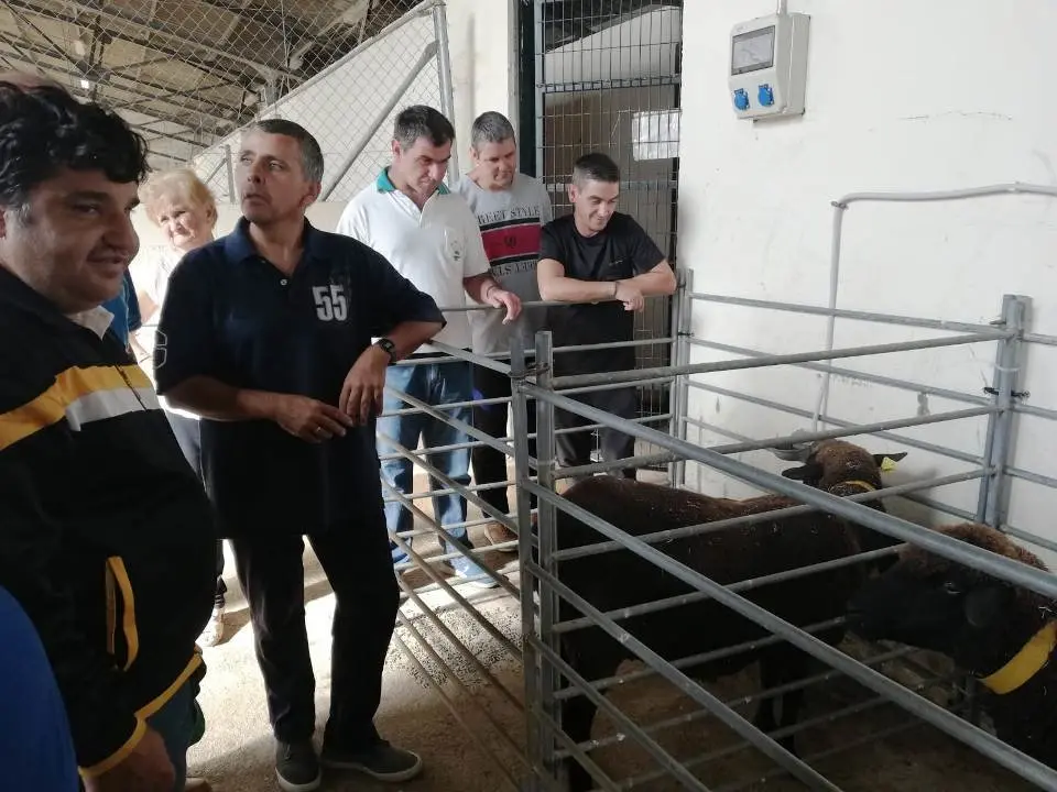 usuarios del com visitan fac veterin 0901908
