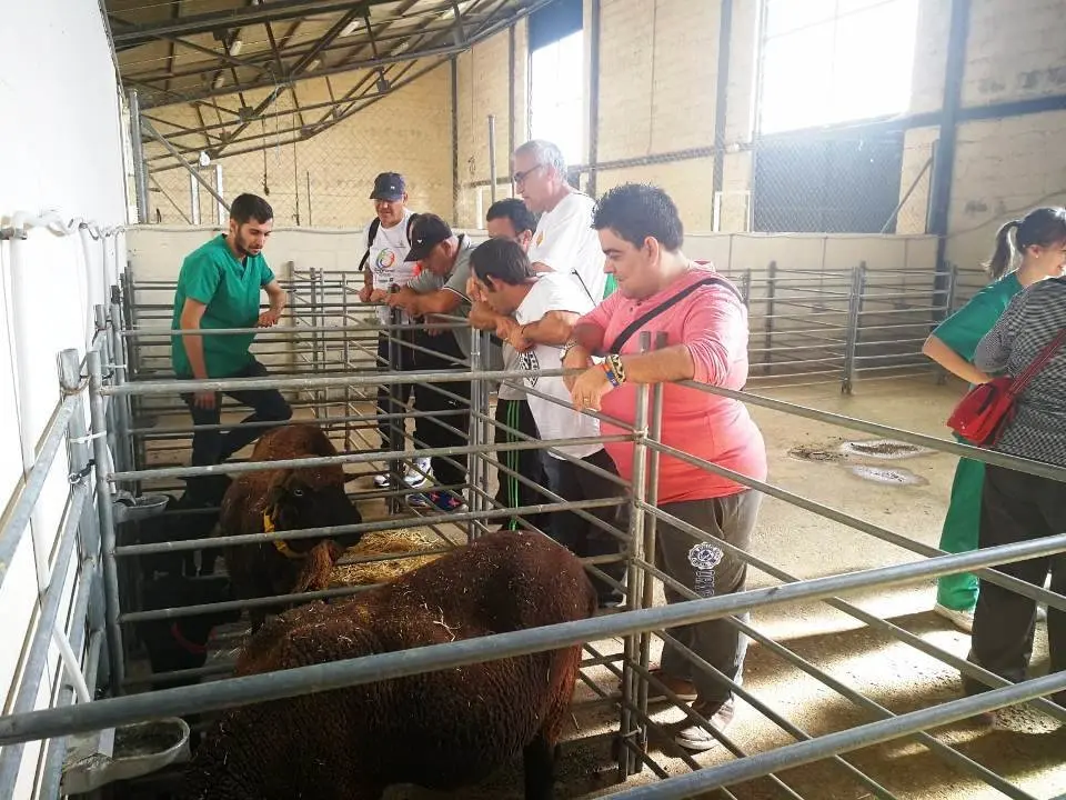 usuarios del com visitan fac veterin 0901911