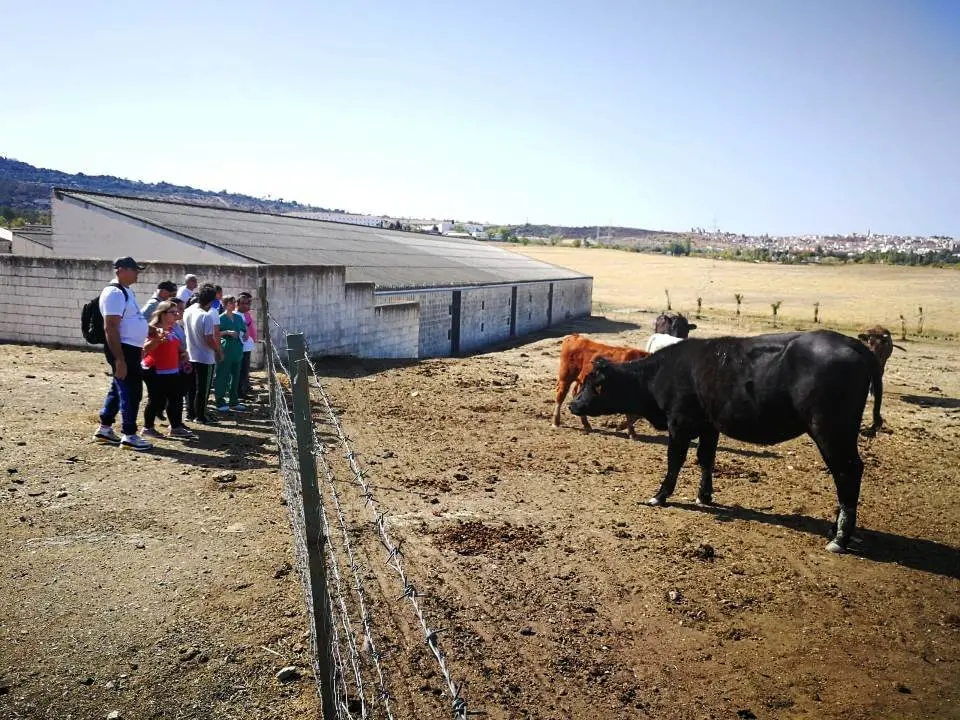 Veterinaira recibe visita del Centro Ocupacional2
