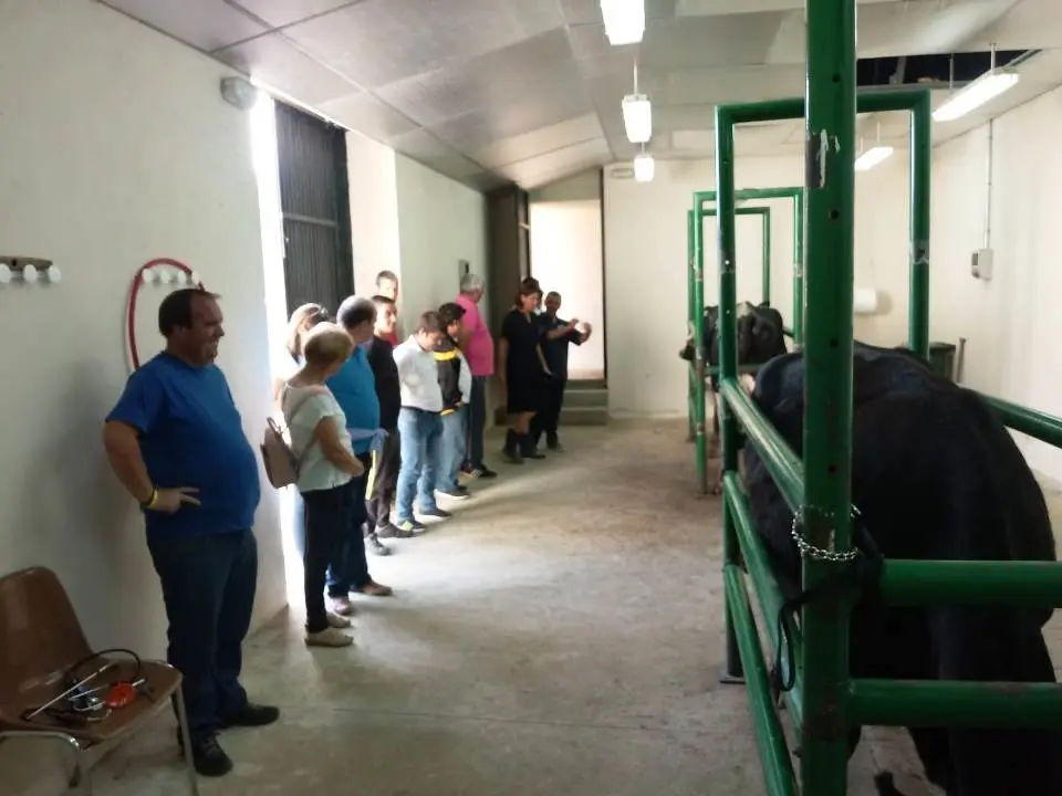 Visita a la fac de Veterinaria 091001910
