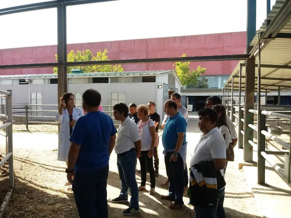 Visita a la fac de Veterinaria 091001915