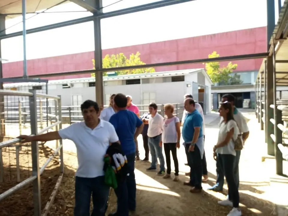 Visita a la fac de Veterinaria 091001917