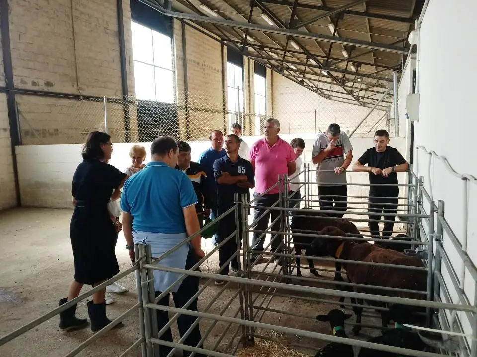 Visita a la fac de Veterinaria 091001919