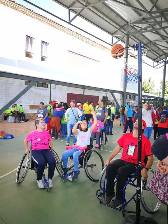 Diputai&oacute;n Inclusiva en Moraleja01010120