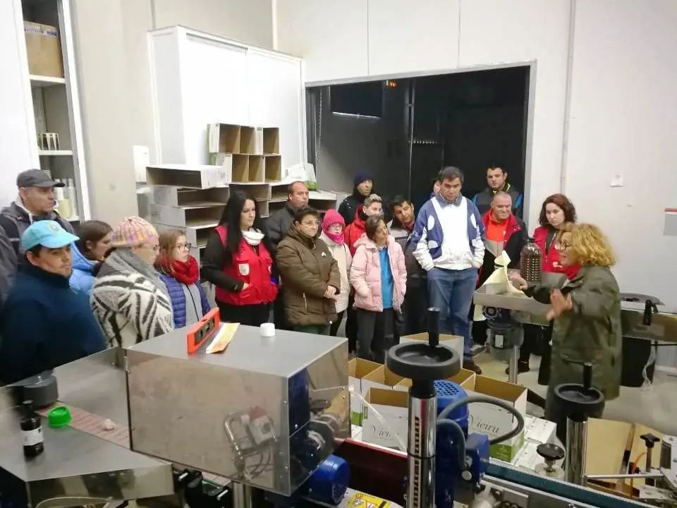 OCIO visita guiada a la Almazara As Pontis 11019 (1)