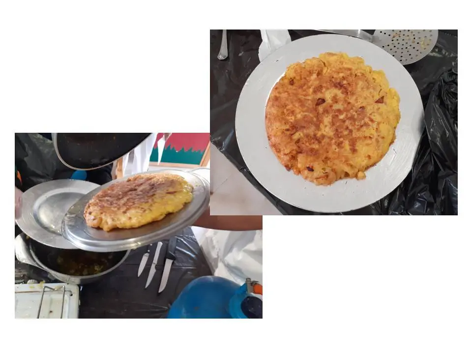 Diapositiva13