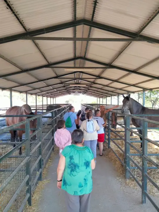 Sal&oacute;n del caballo en Torrejoncillo (17)