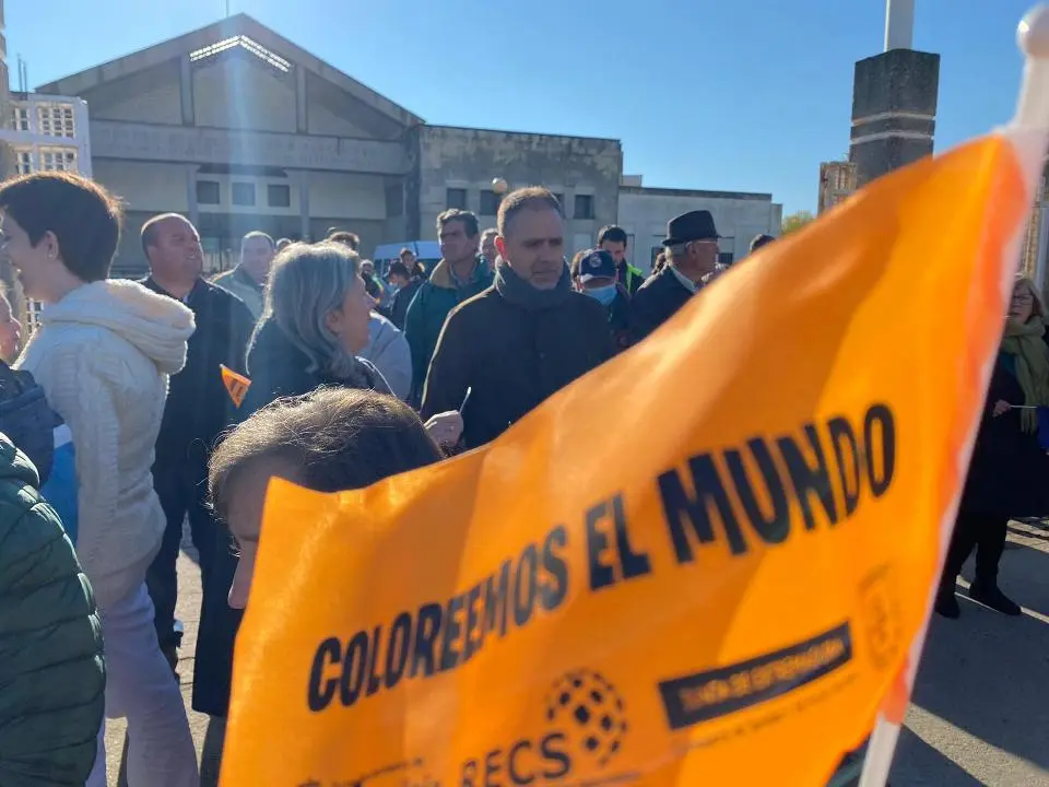 V MARCHA POR LA DISCAPACIDAD (9)