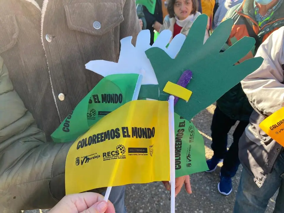 V MARCHA POR LA DISCAPACIDAD (15)
