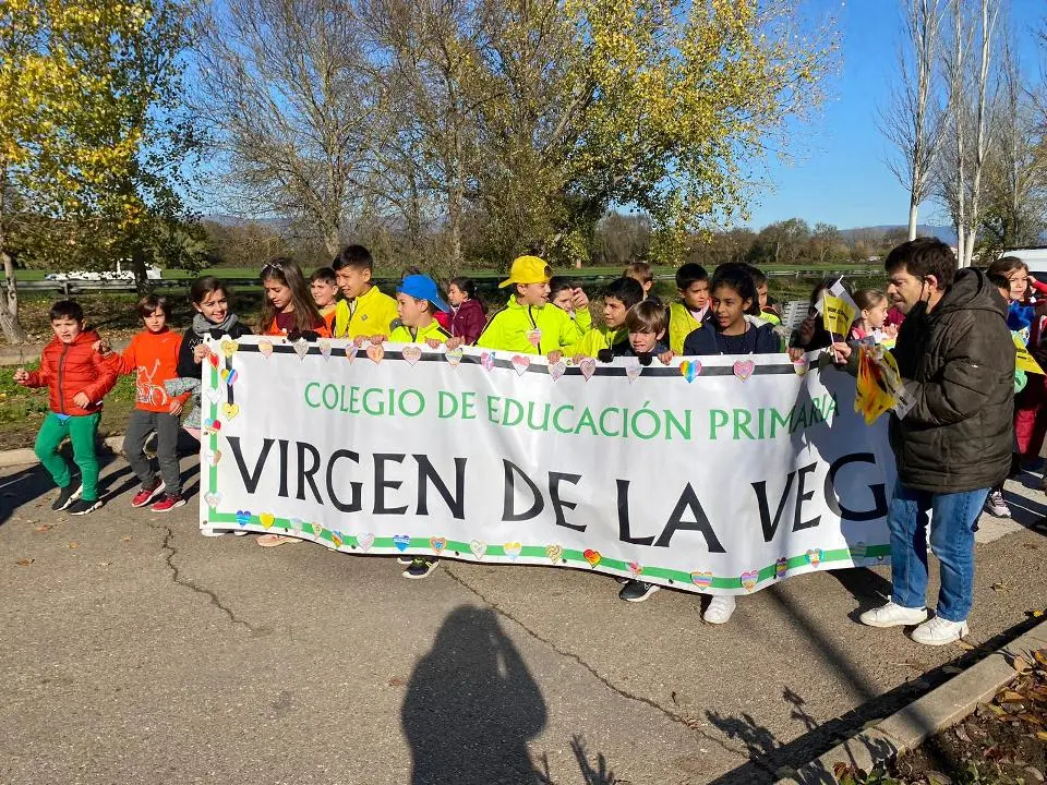 V MARCHA POR LA DISCAPACIDAD (28)