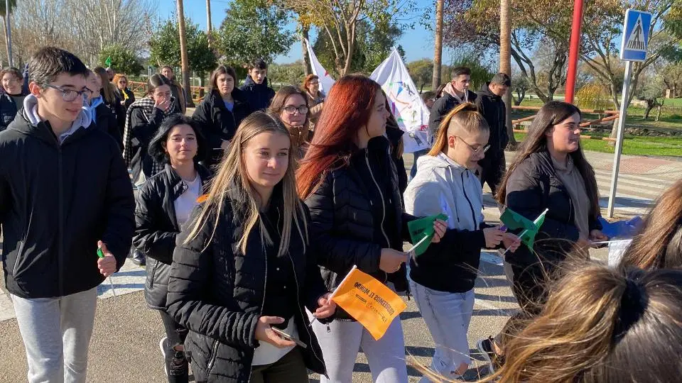 V MARCHA POR LA DISCAPACIDAD (35)