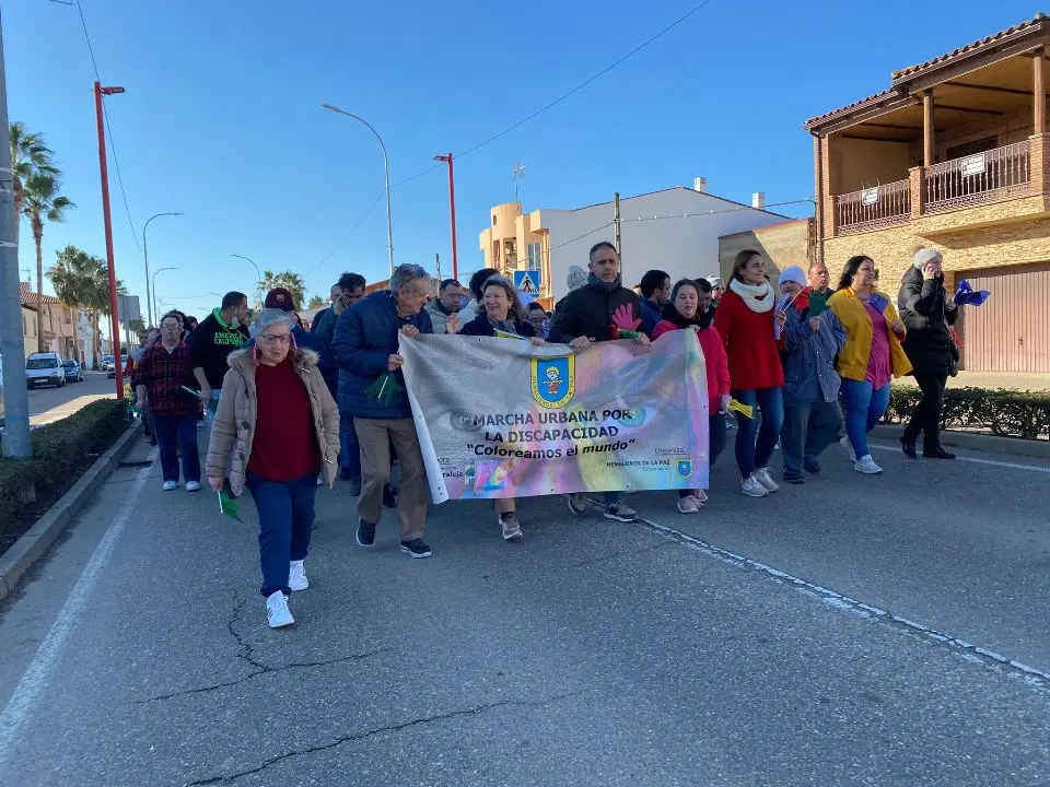 V MARCHA POR LA DISCAPACIDAD (38)