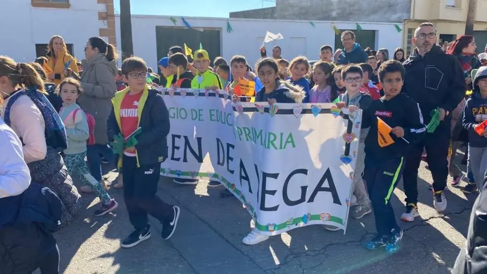 V MARCHA POR LA DISCAPACIDAD (46)