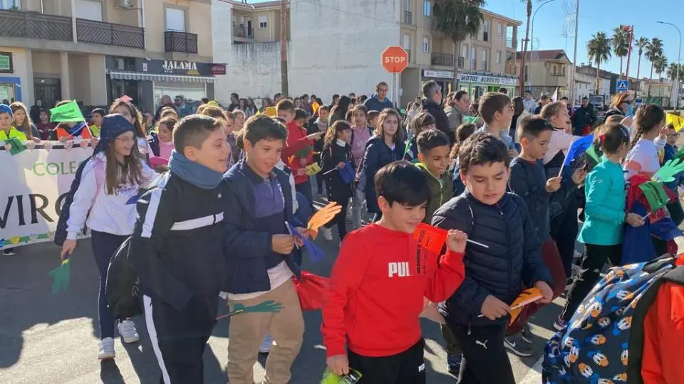 V MARCHA POR LA DISCAPACIDAD (53)