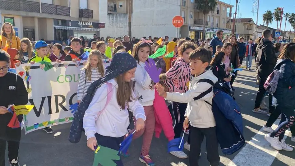 V MARCHA POR LA DISCAPACIDAD (54)