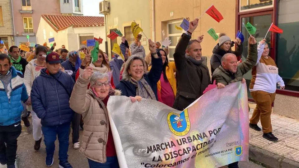 V MARCHA POR LA DISCAPACIDAD (60)
