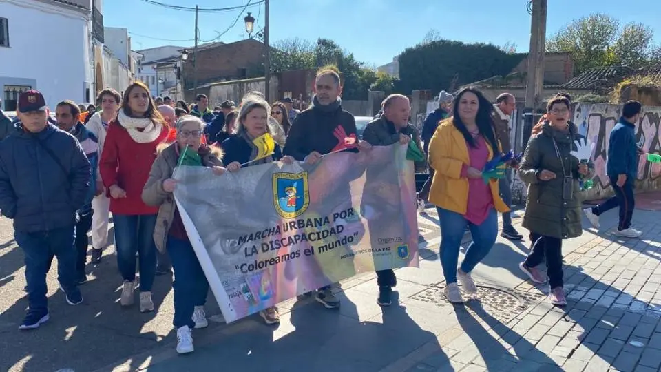 V MARCHA POR LA DISCAPACIDAD (64)