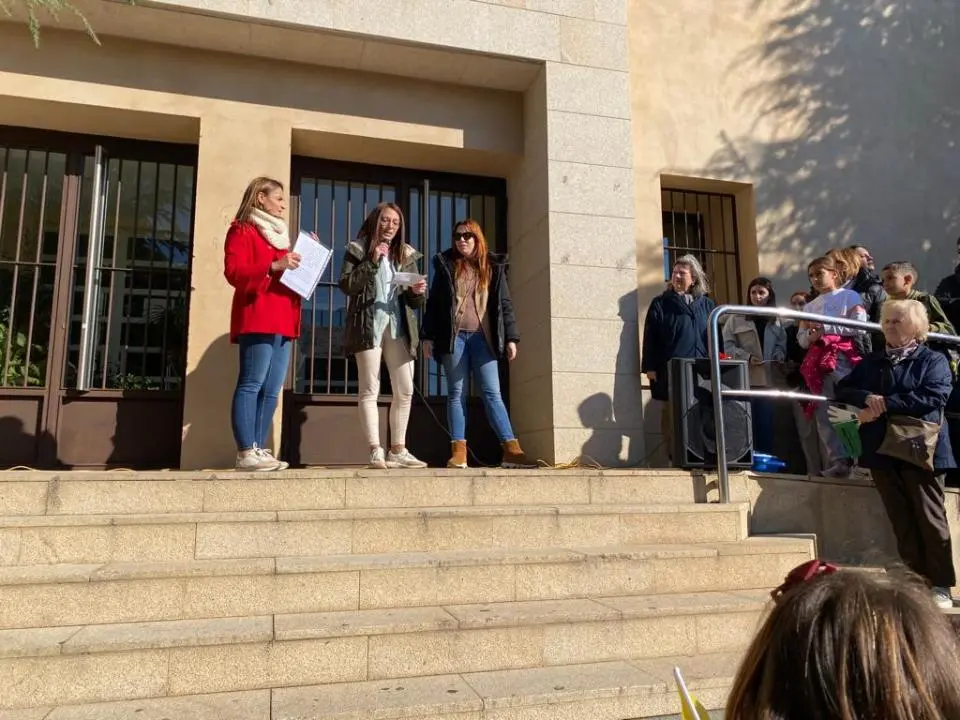 V MARCHA POR LA DISCAPACIDAD (68)