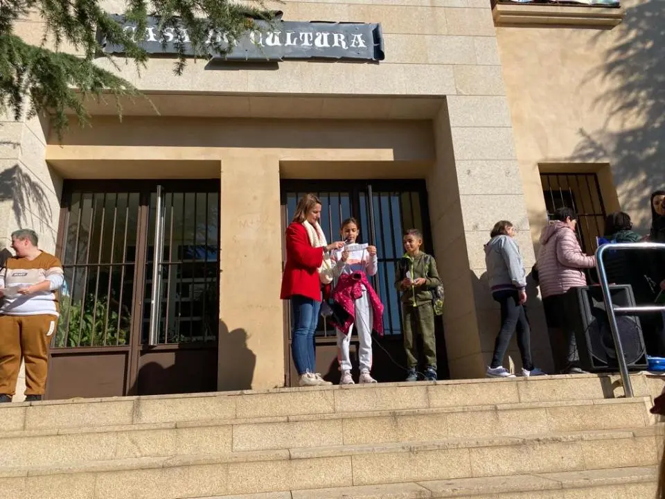 V MARCHA POR LA DISCAPACIDAD (70)