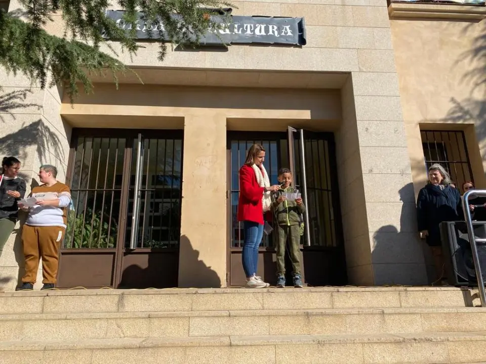 V MARCHA POR LA DISCAPACIDAD (71)