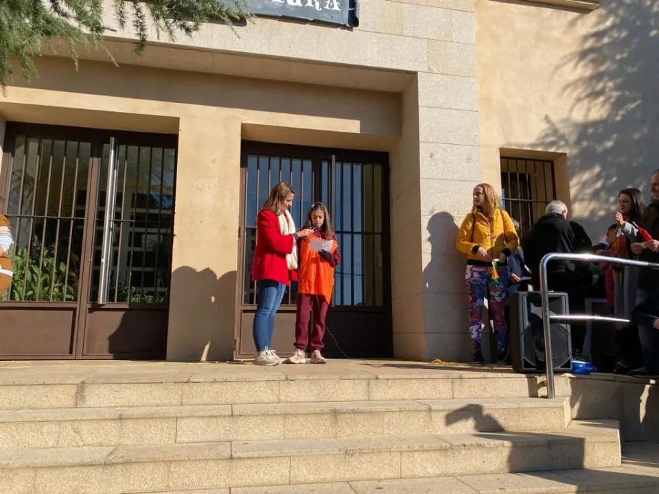 V MARCHA POR LA DISCAPACIDAD (74)