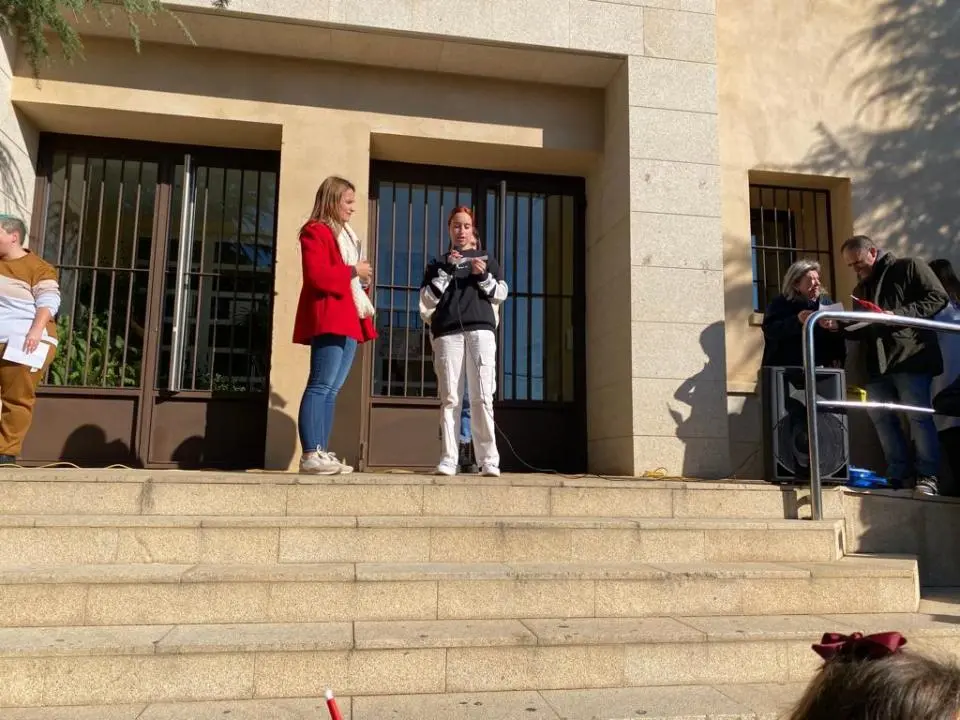 V MARCHA POR LA DISCAPACIDAD (75)