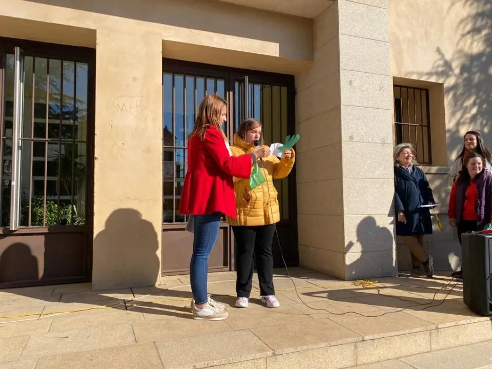 V MARCHA POR LA DISCAPACIDAD (90)