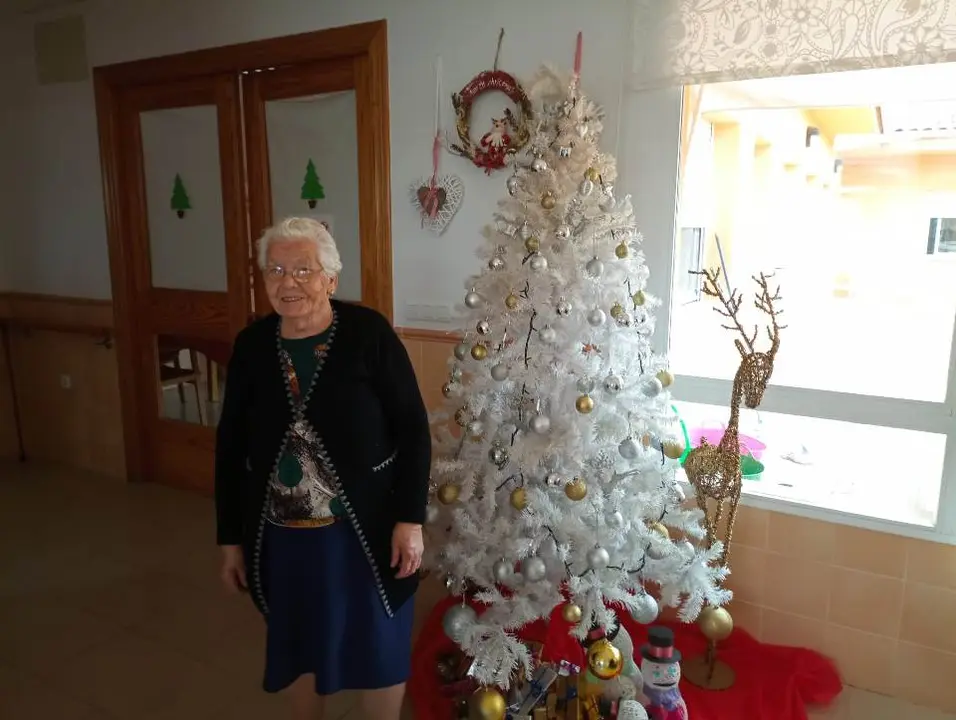 Navidad en la RM de Hern&aacute;n P&eacute;rez (23)