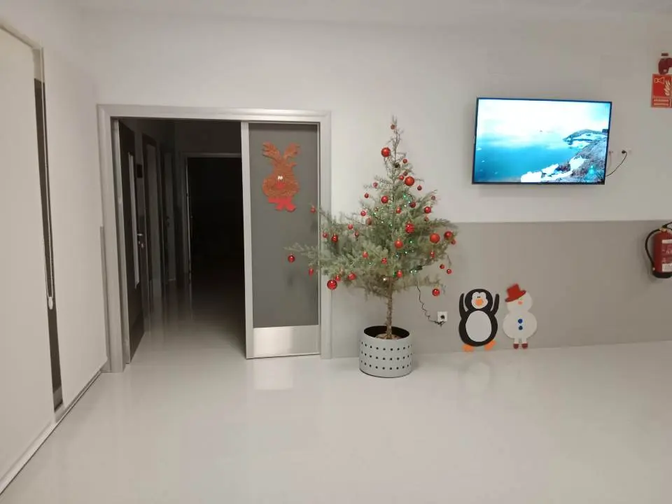 Actividades Navide&ntilde;as en la RM Monesterio (28)