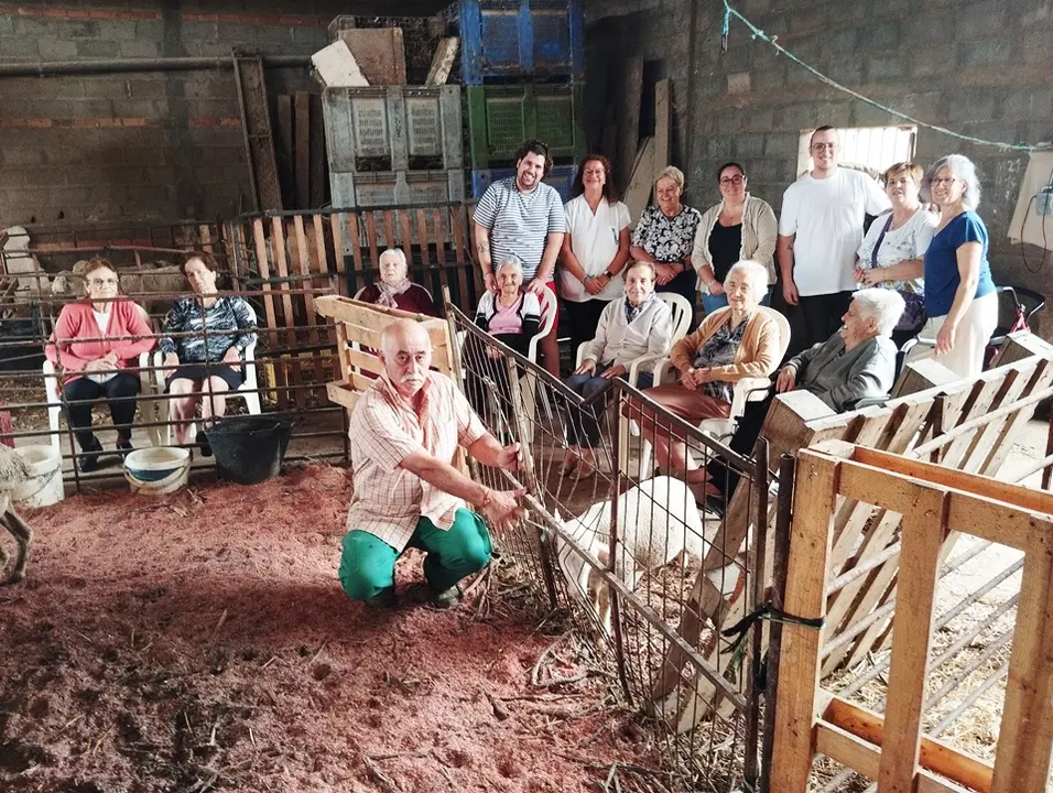 Actividad Recuerdos entre ovejas (13)