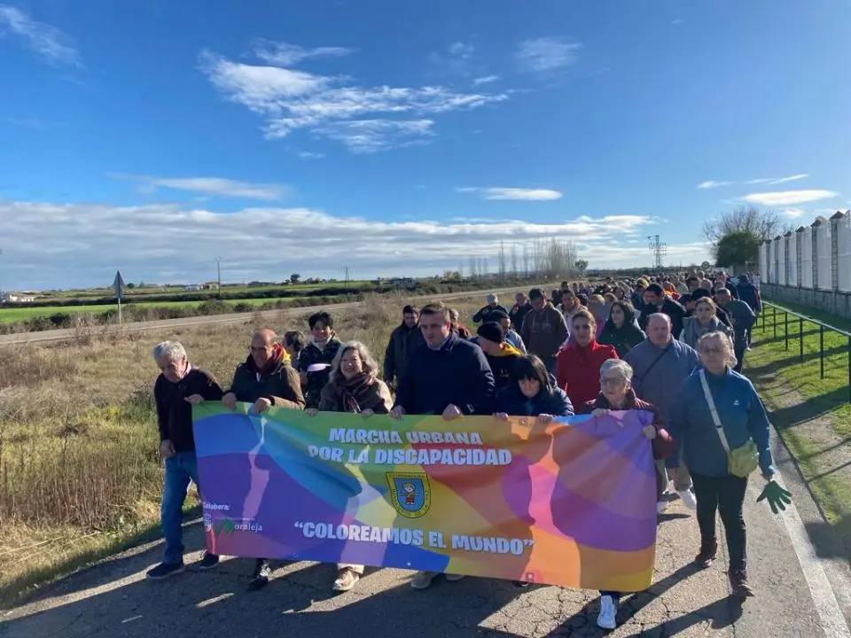 VI Marcha por la Discapacidad (14)