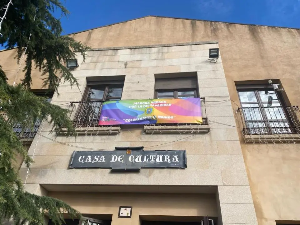 VI Marcha por la Discapacidad (84)