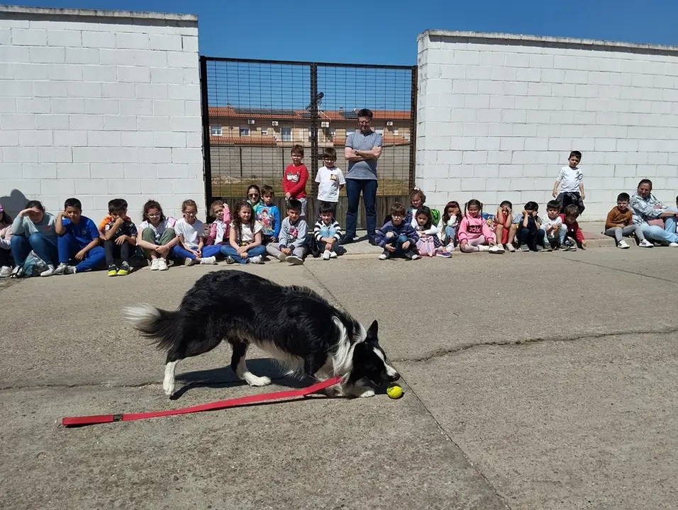 El CD Puebla de la Calzada recibe la visita del Colegio Torre &Aacute;guila (63)